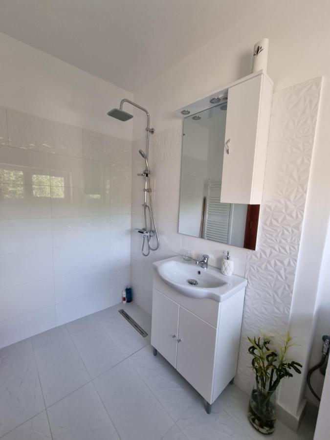 Appartamento Toma Boutique Braşov Esterno foto